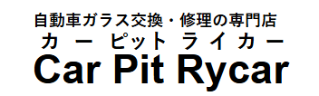 Car Pit Rycar画像